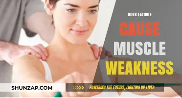 Fatigue and Muscle Weakness: What's the Connection?