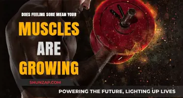 Does Muscle Soreness Indicate Growth? Unraveling the Post-Workout Pain Myth