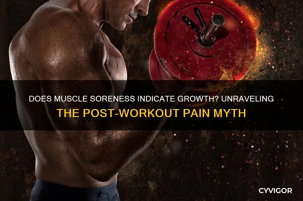 does feeling sore mean your muscles are growing