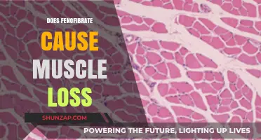 Fenofibrate's Impact: Does It Cause Muscle Loss?