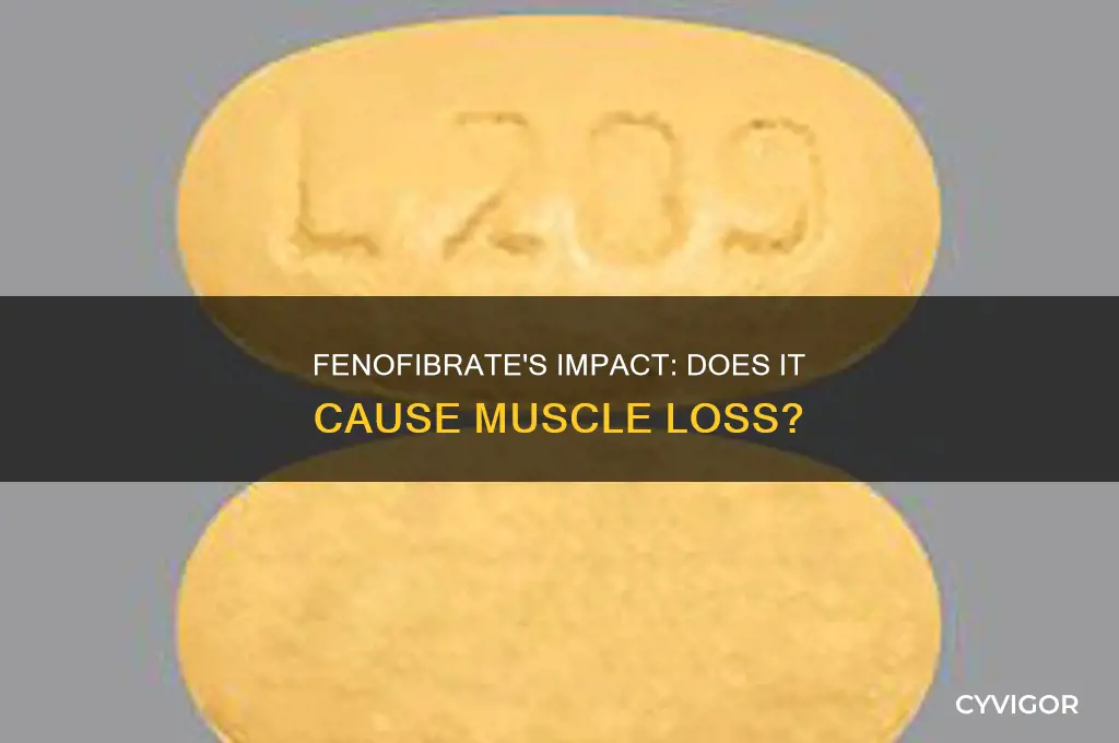 does fenofibrate cause muscle loss