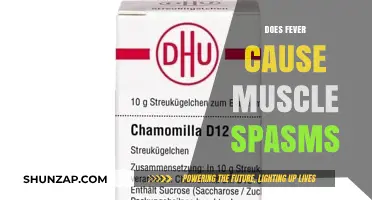 Fever and Muscle Spasms: What's the Connection?