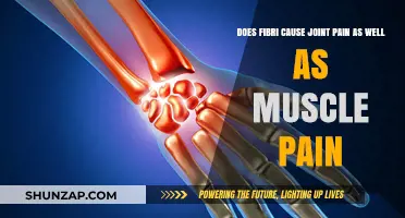 Fibri's Impact: Joint and Muscle Pain
