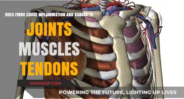 Fibro's Impact: Inflammation and Joint Damage Explained