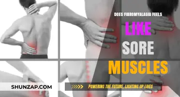 Fibromyalgia vs. Sore Muscles: Understanding the Painful Difference