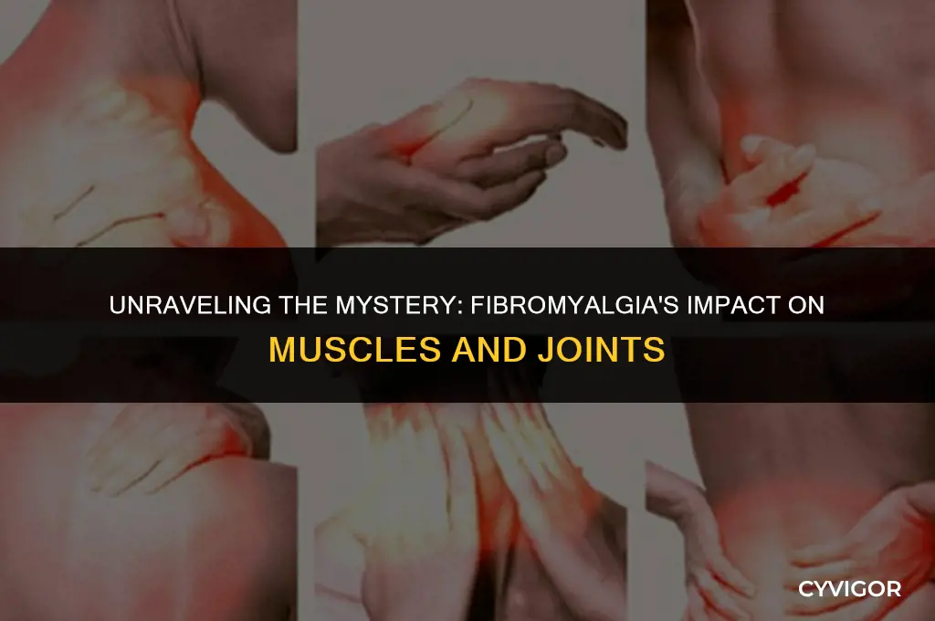 does fibromyalgia affect muscles or joints