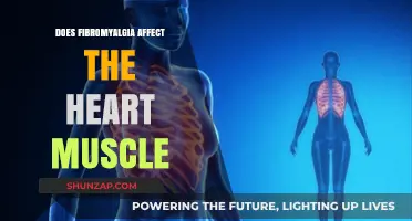 Exploring the Impact of Fibromyalgia on Heart Health