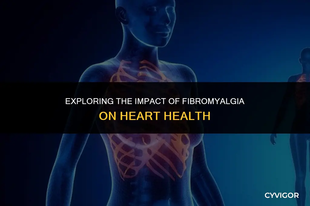 does fibromyalgia affect the heart muscle