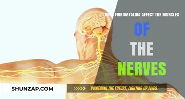 Unraveling the Mystery: Fibromyalgia's Impact on Muscles and Nerves