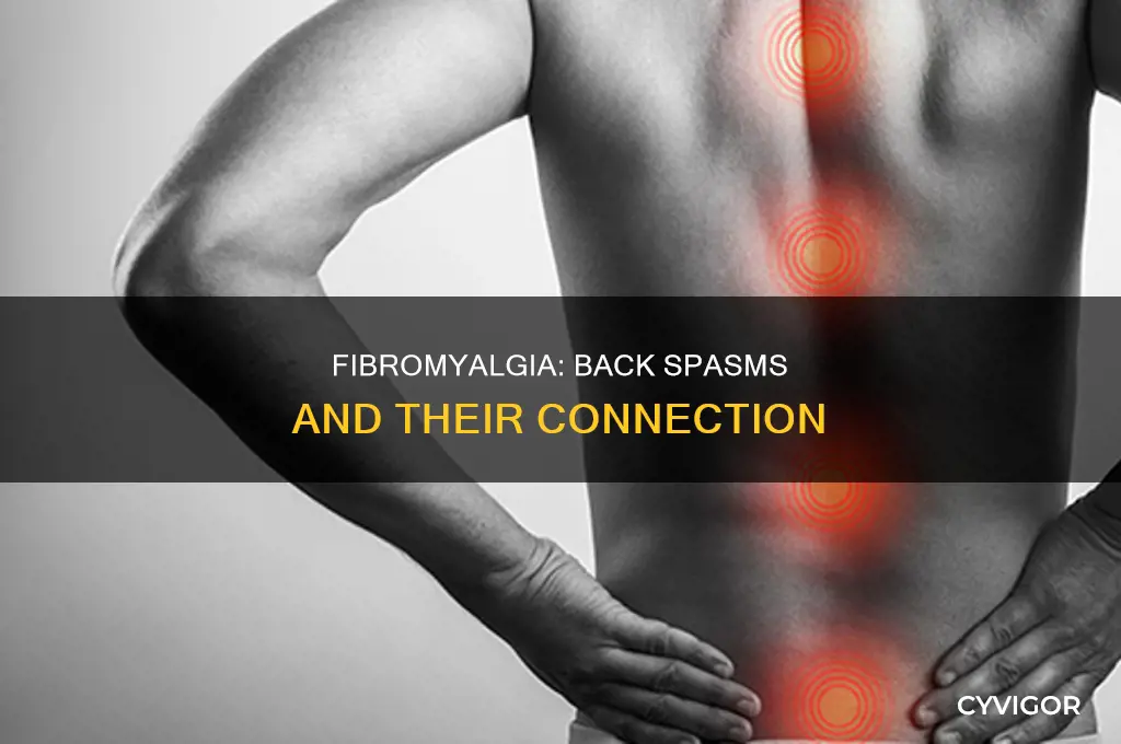 does fibromyalgia cause back muscle spasms