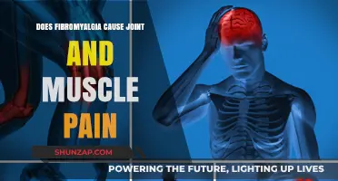 Fibromyalgia: Understanding Joint and Muscle Pain