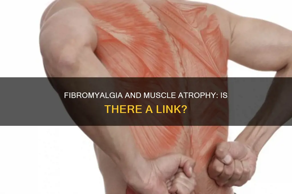 does fibromyalgia cause muscle atrophy
