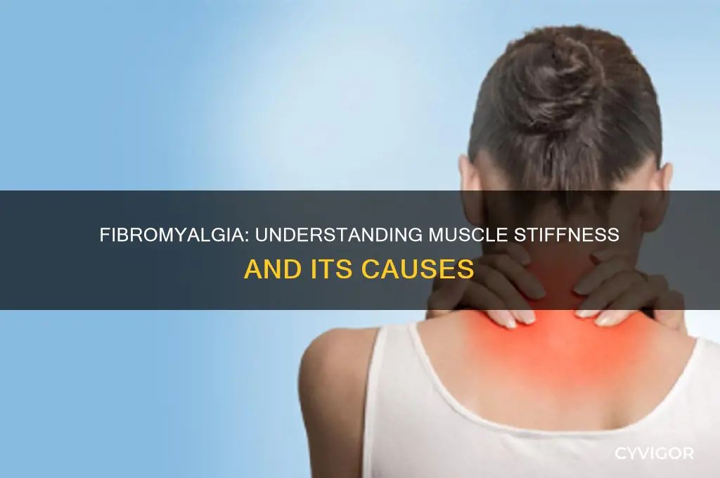 does fibromyalgia cause muscle stiffness