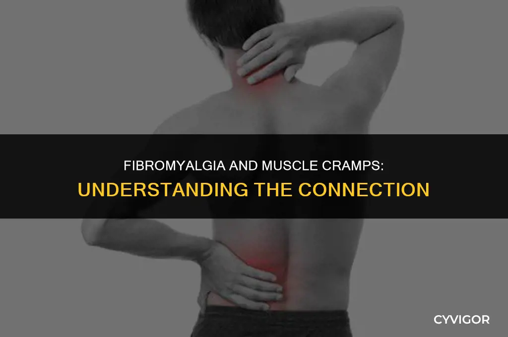 does fibromyalgia give you muscle cramps