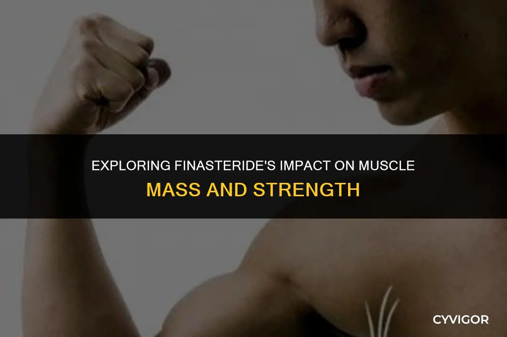 does finasteride affect muscle