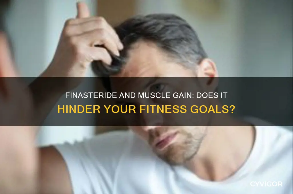 does finasteride make it harder to gain muscle