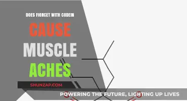 Fioricet with Codeine: Understanding Potential Muscle Ache Risks