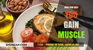 Can Eating Fish Boost Muscle Growth? Unlocking Protein Power for Gains