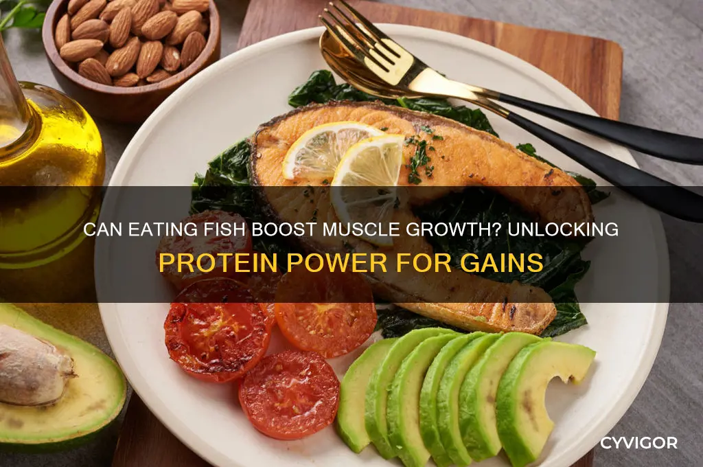 does fish help you gain muscle