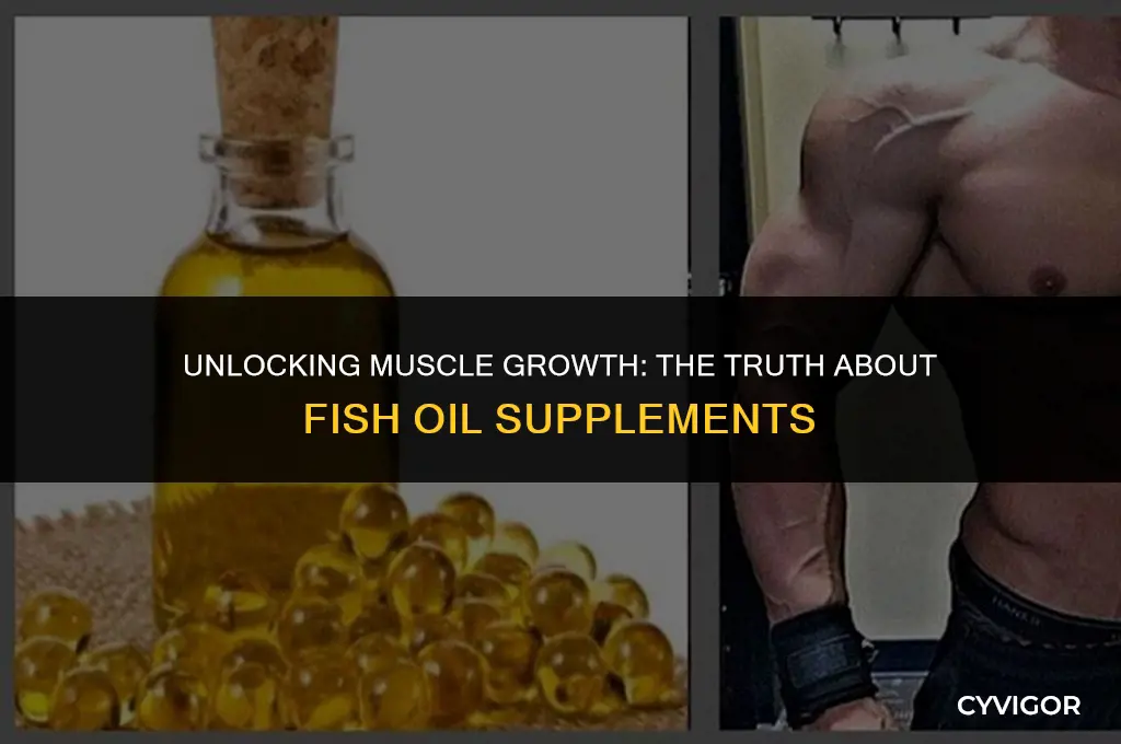 does fish oil help build muscle mass