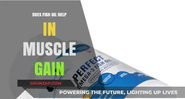 Fish Oil and Muscle Gain: Unlocking Strength and Growth Benefits