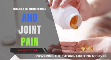 Fish Oil Benefits: Easing Muscle and Joint Pain Naturally