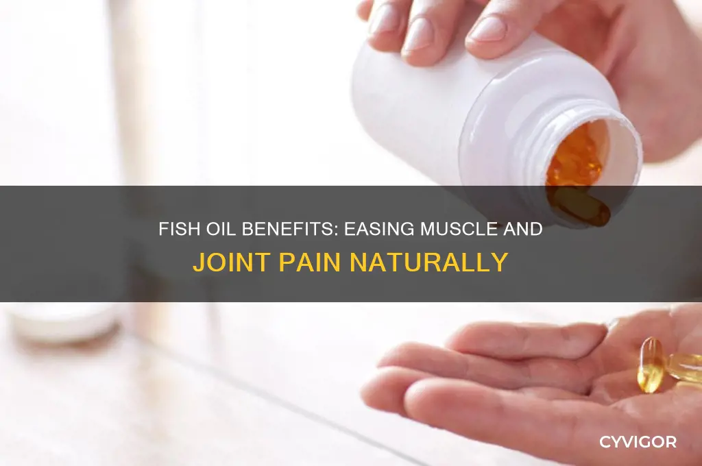 does fish oil reduce muscle and joint pain