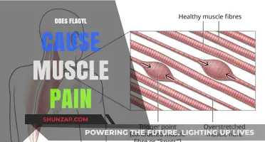 Flagyl and Muscle Pain: What's the Link?