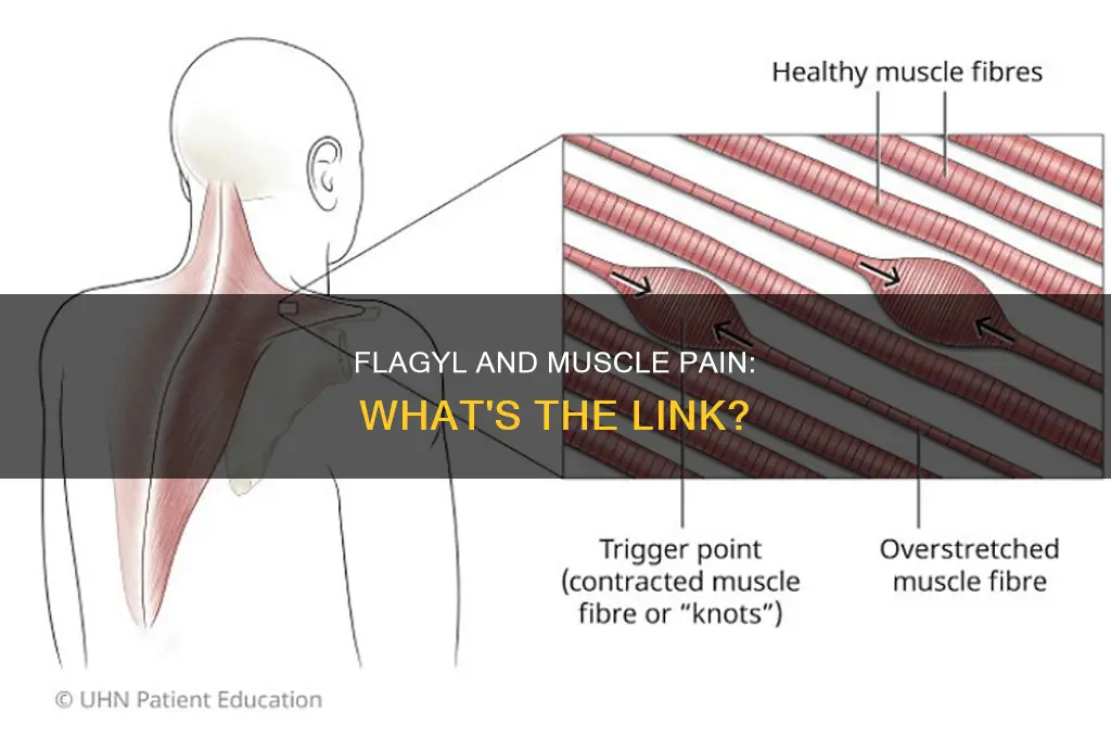 does flagyl cause muscle pain