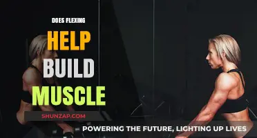 Flexing for Fitness: Does Muscle Definition Come with the Pose?