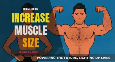Flexing and Muscle Growth: Is There a Link?