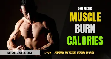 Flexing Muscles: Burning Calories or Useless Effort?