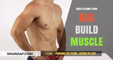 Flexing Your Abs: The Truth About Building Muscle Through Contractions