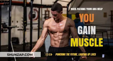 Flexing Abs for Muscle Gain: Fact or Fitness Myth?