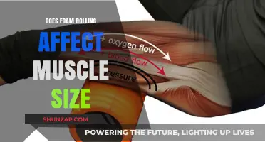 Unraveling the Myth: Foam Rolling's Impact on Muscle Size Revealed