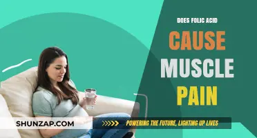 Folic Acid: Muscle Pain Mystery Solved