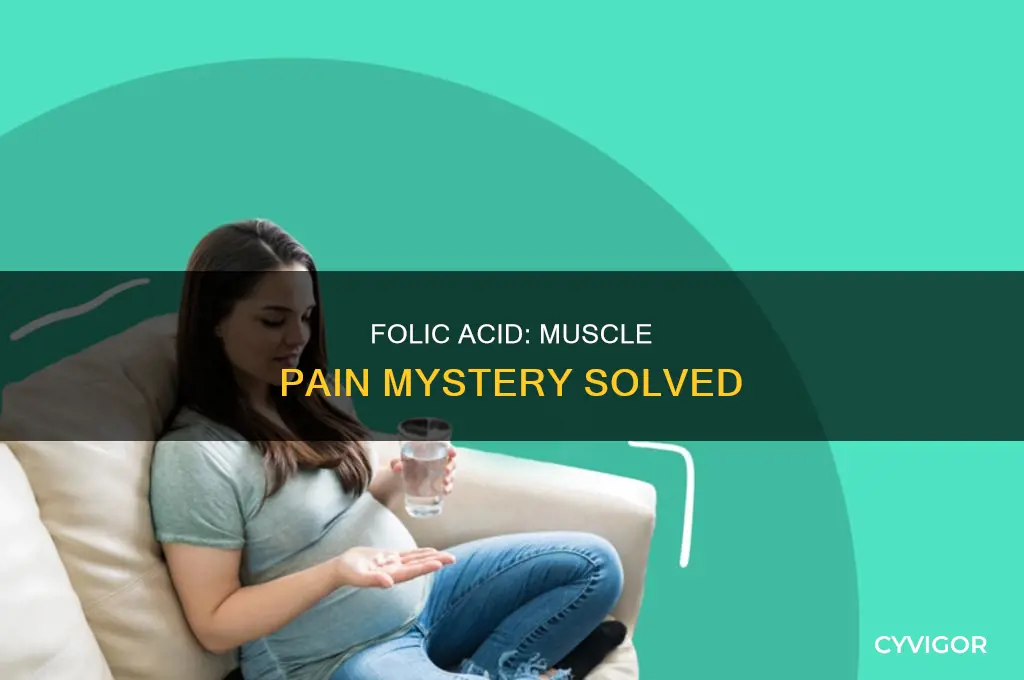 does folic acid cause muscle pain