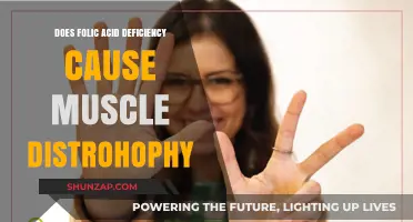 Folic Acid Deficiency: A Cause of Muscle Dystrophy?