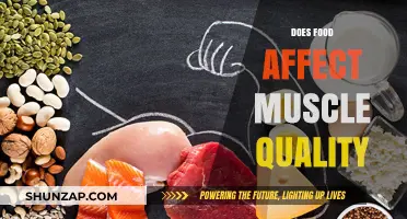 Nutrition's Impact on Muscle Quality: A Comprehensive Guide