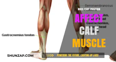 Exploring the Impact of Foot Position on Calf Muscle Development