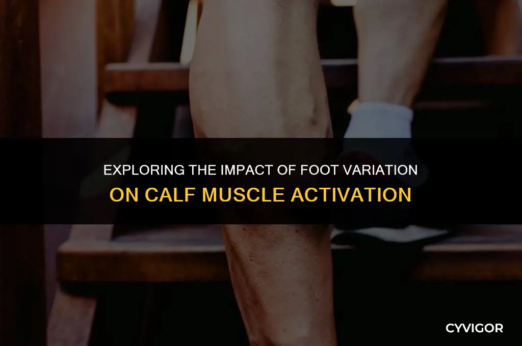 does foot variation effect calf muscle activation