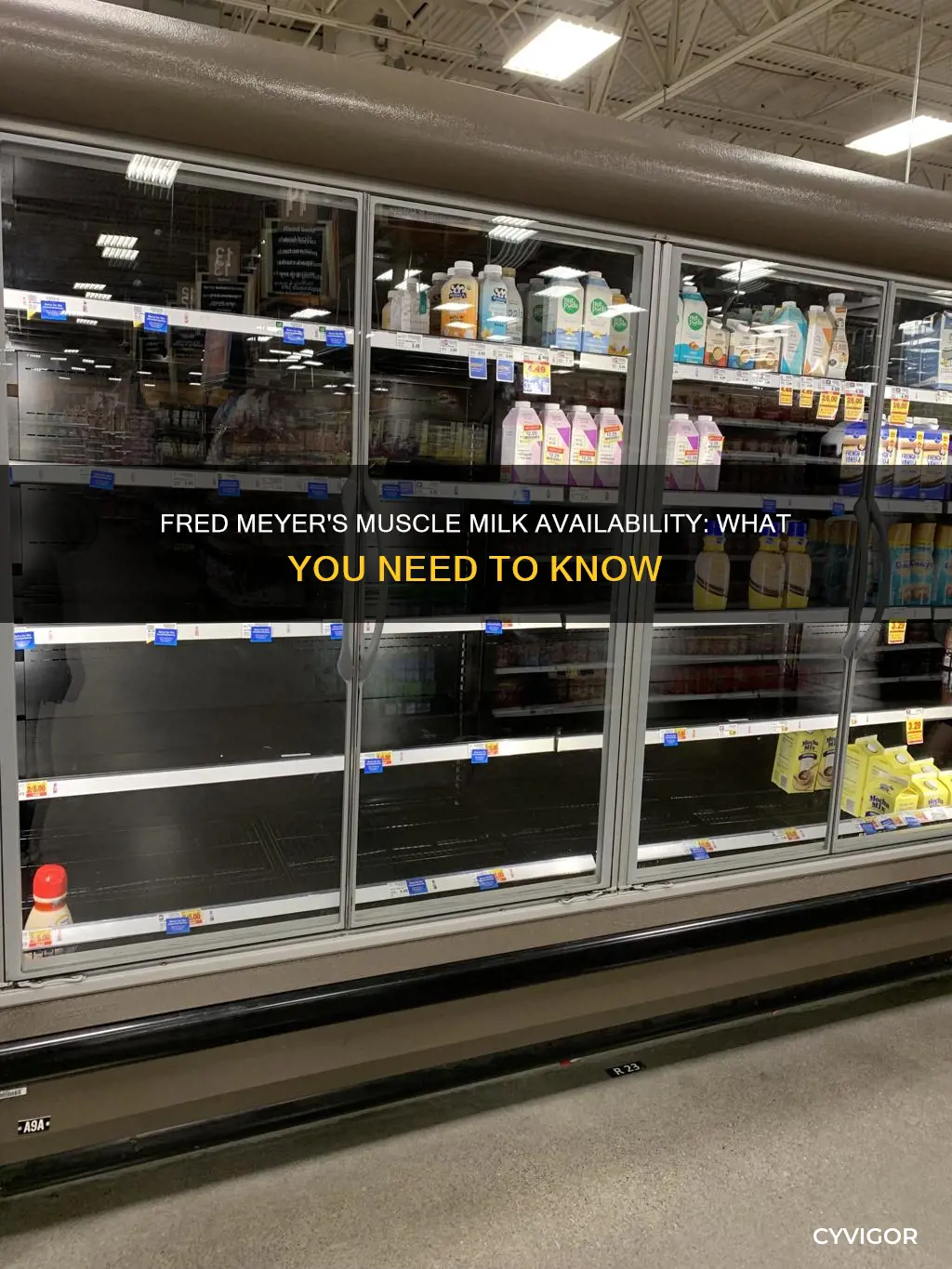 does fredmeyers carry muscle milk