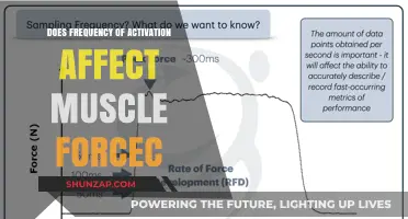 Exploring the Impact of Activation Frequency on Muscle Force