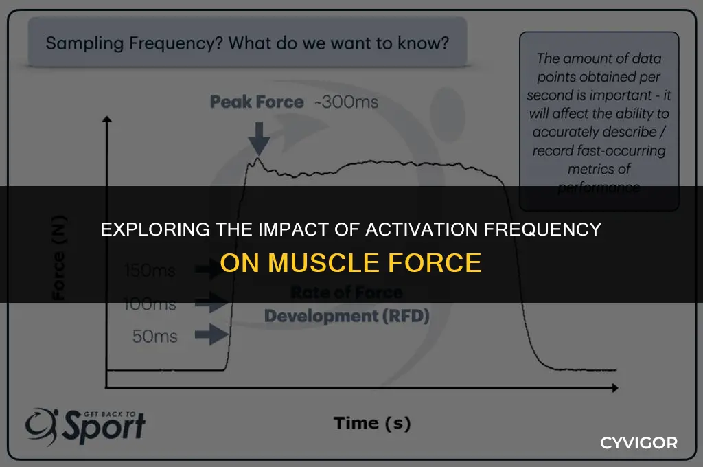does frequency of activation affect muscle forcec