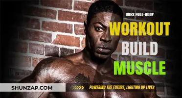 Unlocking Muscle Growth: The Power of Full-Body Workouts