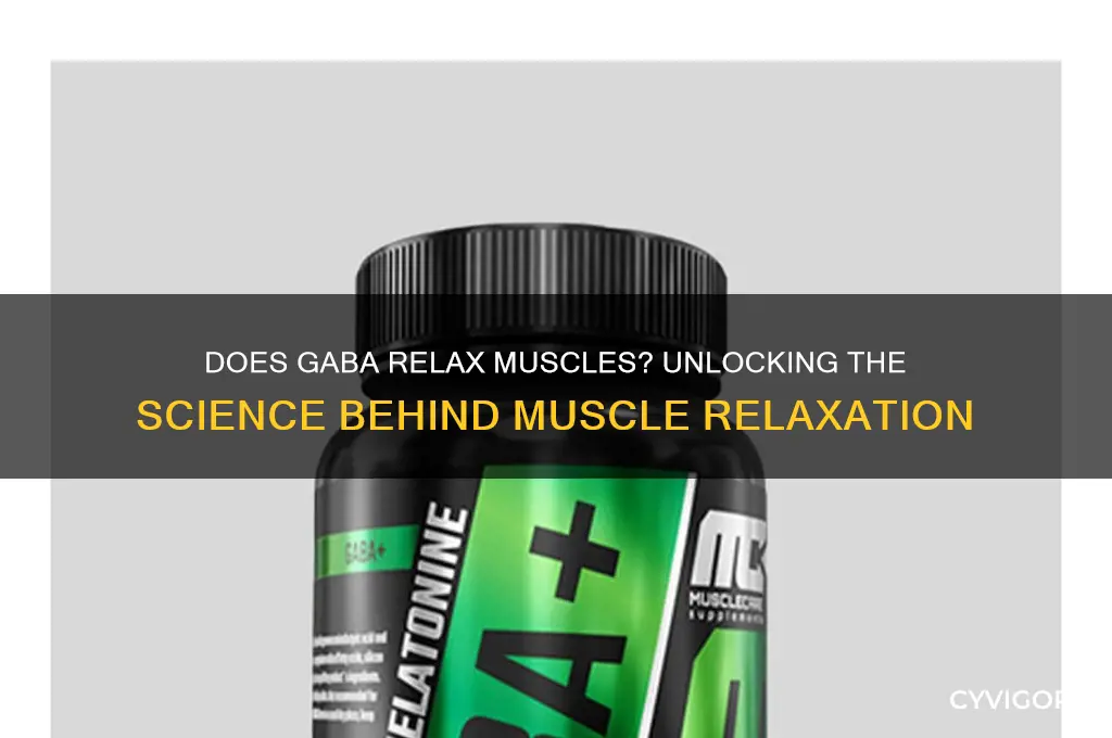 does gaba relax muscles
