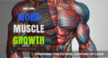 Does GABA Boost Muscle Growth? Science-Backed Insights and Benefits