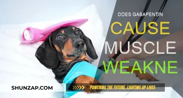 Gabapentin and Muscle Weakness: What's the Link?