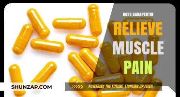 Can Gabapentin Effectively Alleviate Muscle Pain? Exploring Its Benefits