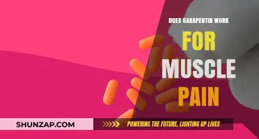 Does Gabapentin Effectively Relieve Muscle Pain? A Comprehensive Review